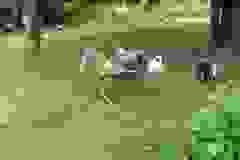 P1010995